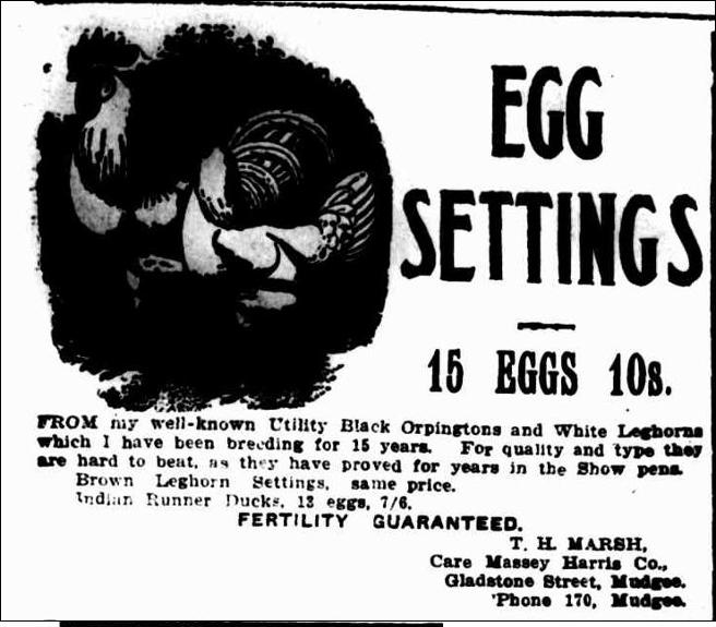 Mudgee Guardian and North-Western Representative, Thursday 4 October 1923, page 3