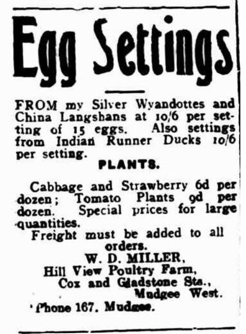 Mudgee Guardian and North-Western Representative, Thursday 4 October 1923, page 3