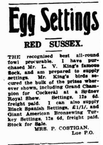 Costigans Poultry Farm Lue Mudgee Guardian and North-Western Representative, Thursday 4 October 1923, page 3""