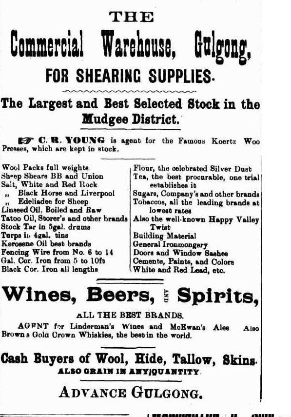 Mudgee guardian 1 June 1900, p. 17