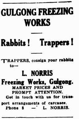 Mudgee Guardian and North-Western Representative, Thursday 5 January 1933, page 12