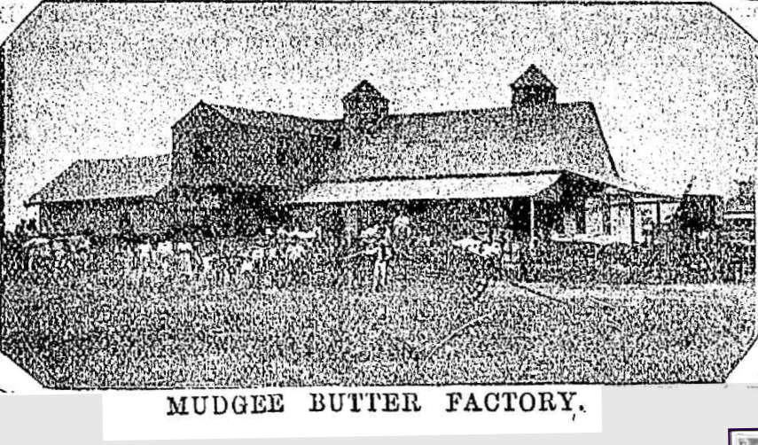 Mudgee Butter Factory 1899 http://nla.gov.au/nla.news-article111077323