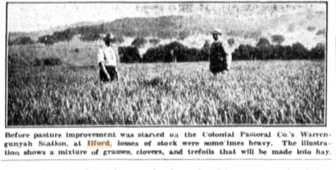 Pasture improvement at Warrangunyah 1935 http://nla.gov.au/nla.news-article117198087