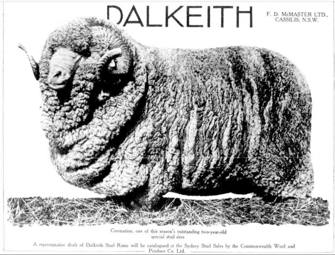 Dalkeith ram 1937 http://nla.gov.au/nla.news-article141790627