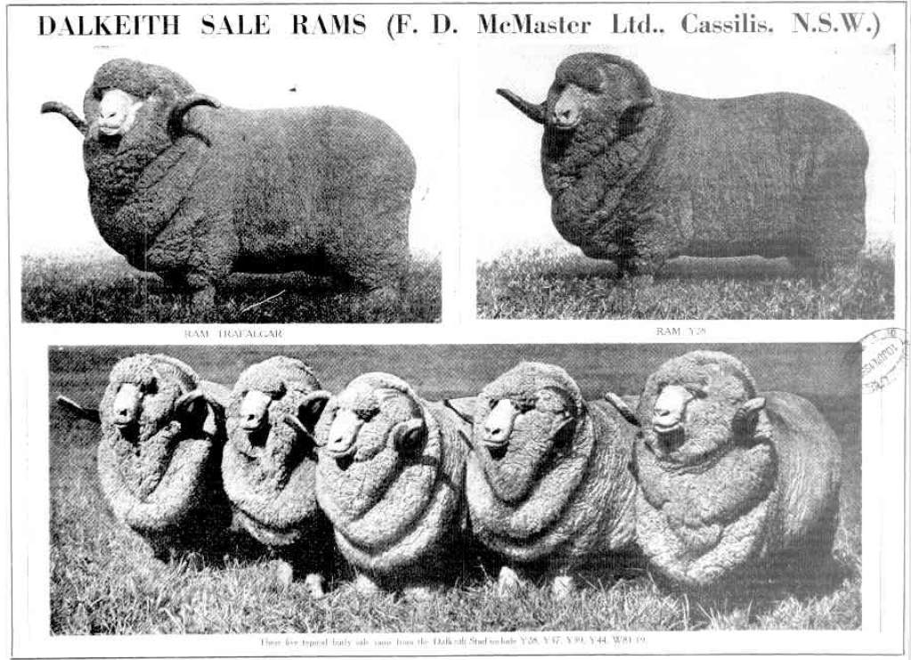 Dalkeith sale rams 1939 http://nla.gov.au/nla.news-article141817870