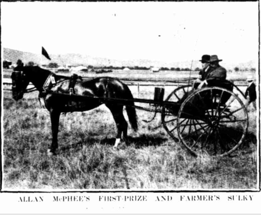 Mudgee Show First Prize Farmer's Sulky 1907