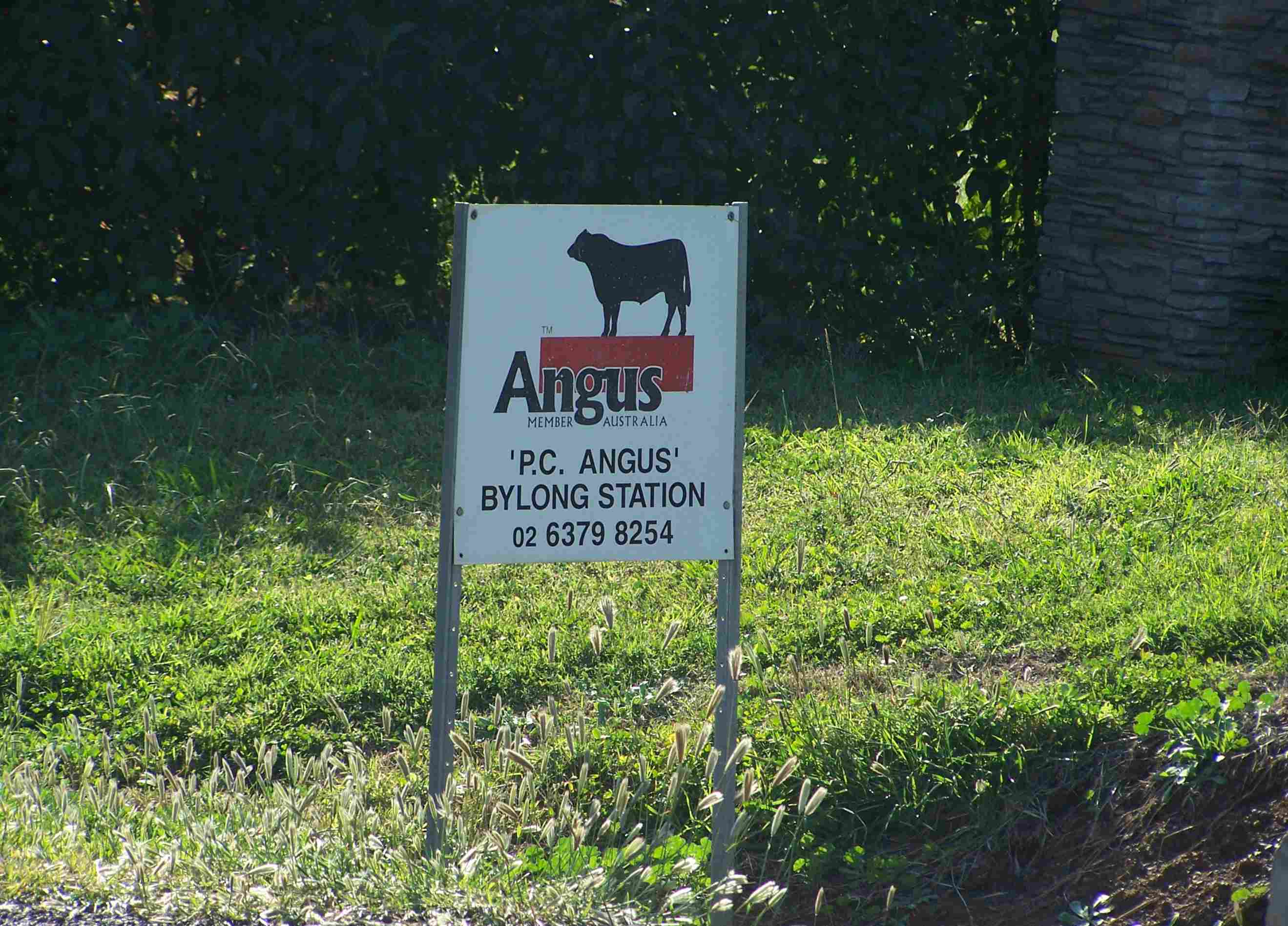 Bylong Station Angus Sign