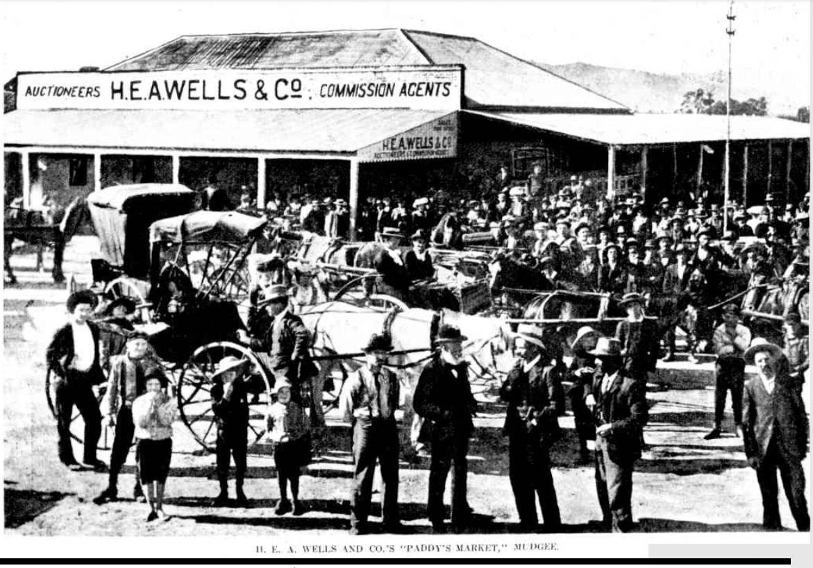 H E A Wells and Co's Paddy Market, Mudgee 1904 http://nla.gov.au/nla.news-article163988411