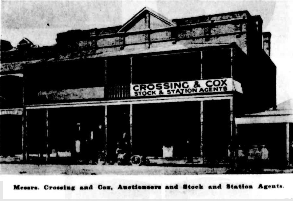 Crossing & Cox Stock & Station Agents 1905 http://nla.gov.au/nla.news-article71534258