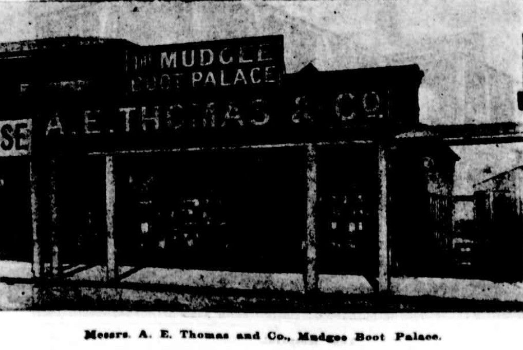 A E Thomas & Co Boot Palace 1905 http://nla.gov.au/nla.news-article71534258