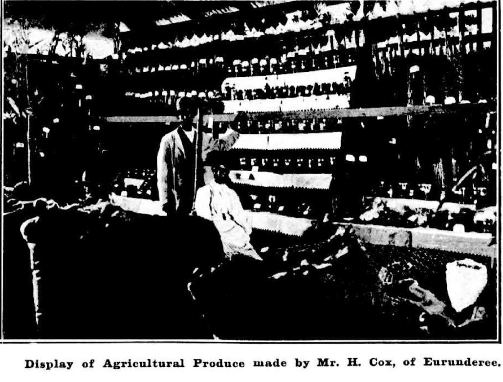 Display of Agricultural Produce made by Mr H Cox, Eurundere Gulgong Show 1910 http://nla.gov.au/nla.news-article264079715