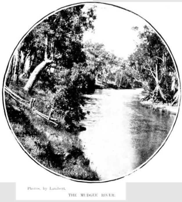 Mudgee River 1901