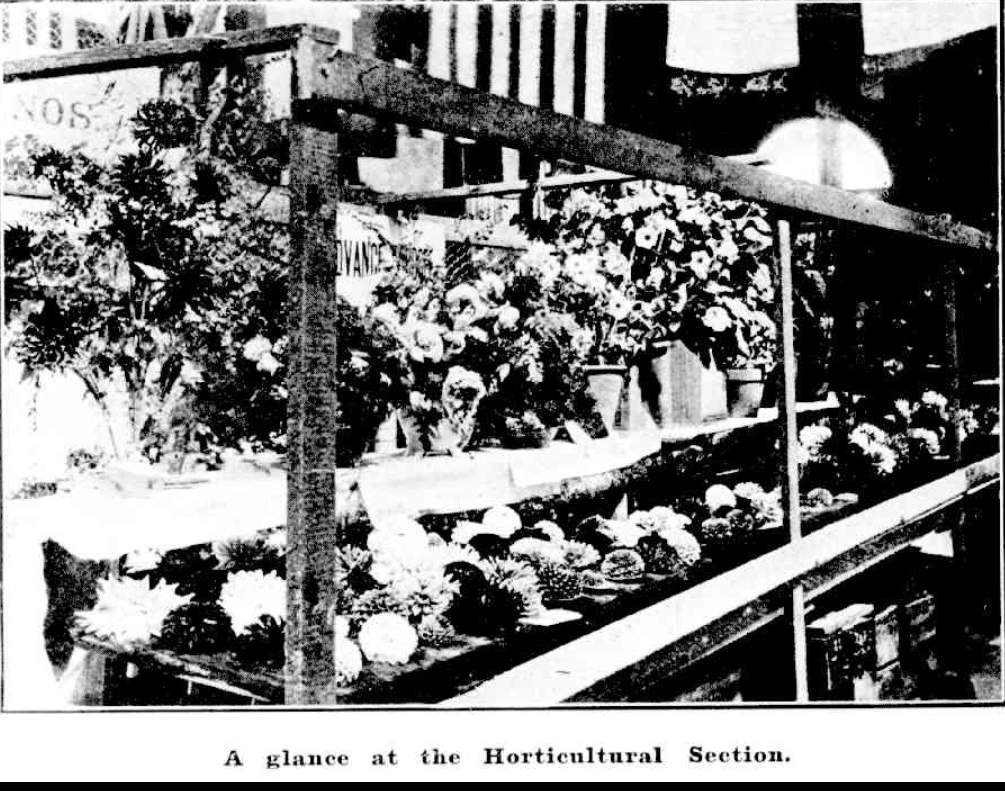 West Mudgee Agricultural Trophy First Prize Mudgee Show 1909