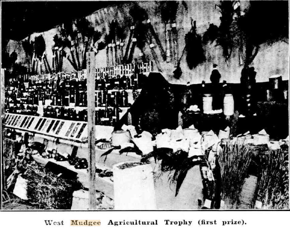 Portion Combined Public Schools Exhibit Mudgee Show 1911