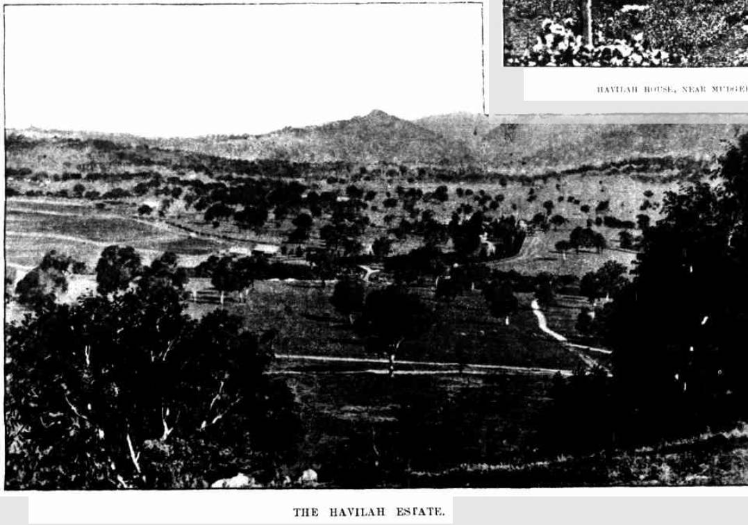 Havilah Estate 1898