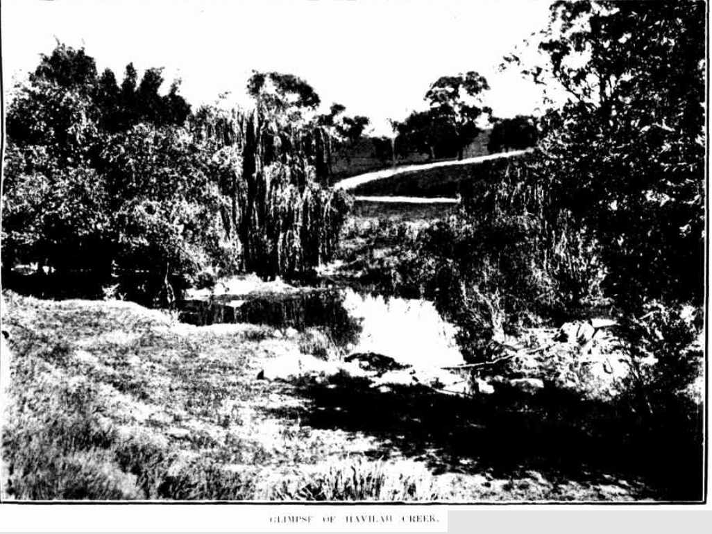 Glimpse of Havilah [Lawson] Creek 1905