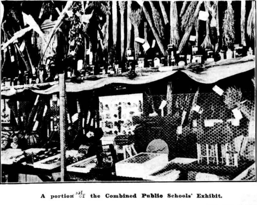 Portion Combined Public Schools Exhibit Mudgee Show 1911