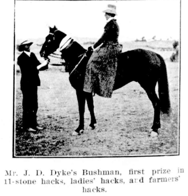 Dykes Hack 1908