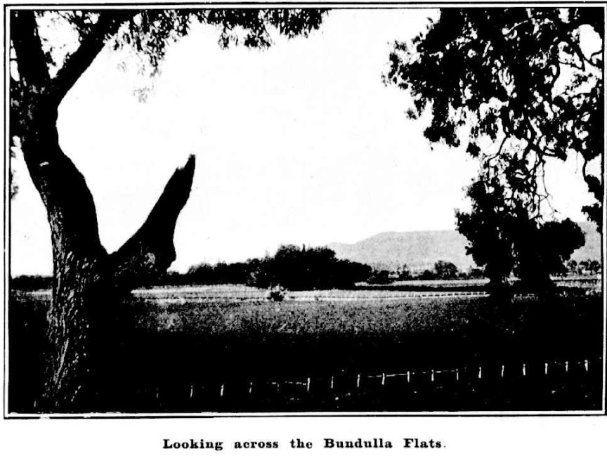 Looking across the Burrundulla Flats 1910