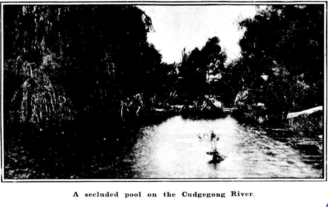 A Secluded Pool on the Cudgegong River 1910