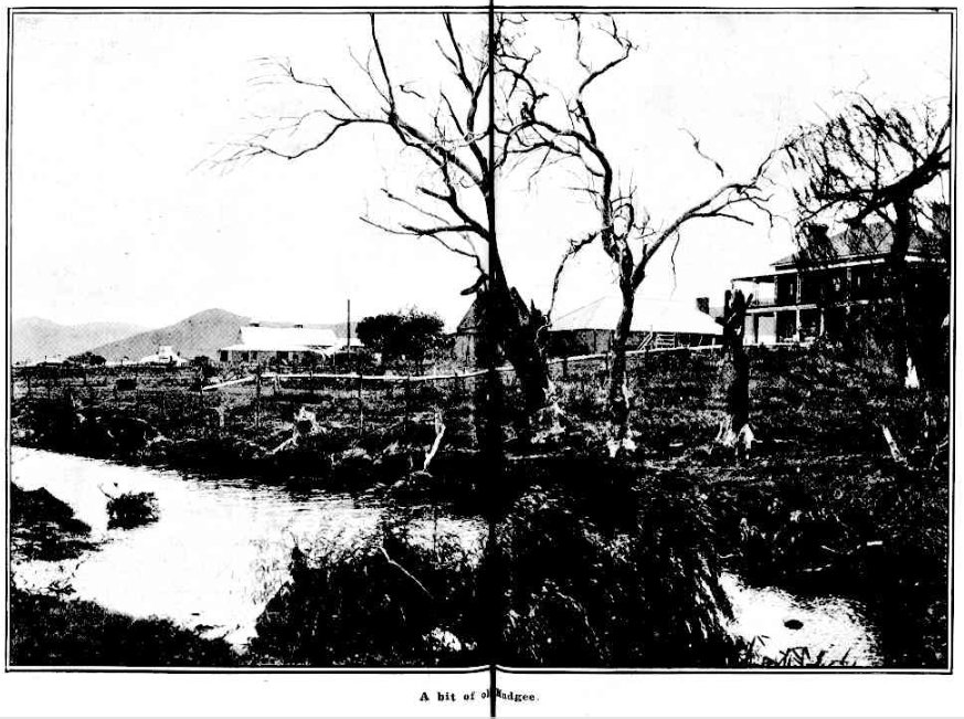 A bit of Old Mudgee 1910. Is Bleak House to the right of the image?