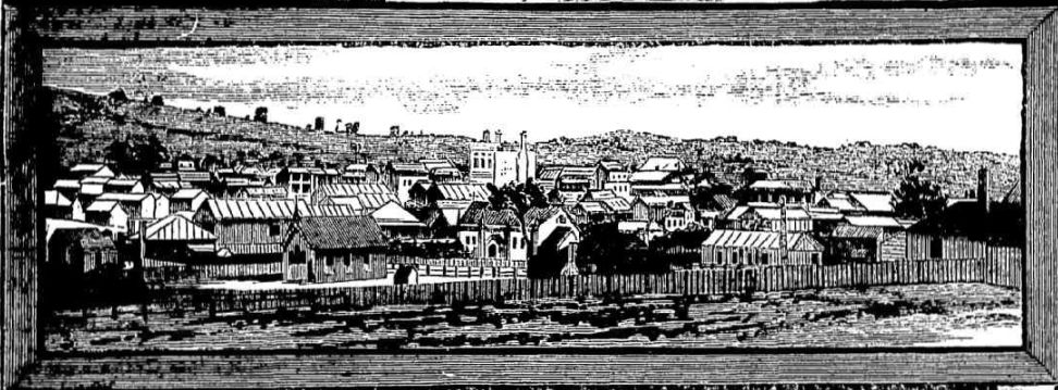 General View of Gulgong 1884