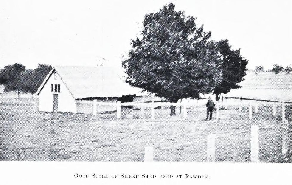 Good Style of Sheep Shed used at Rawden 1907