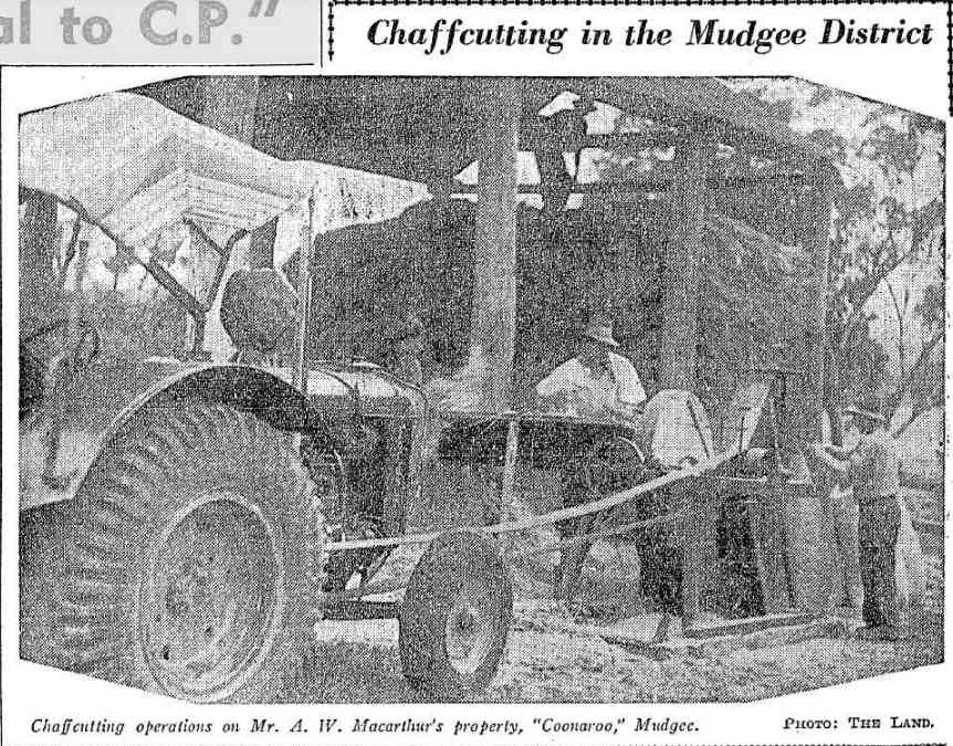 Chaffcutting on Macarthur's property Coonaroo 1937