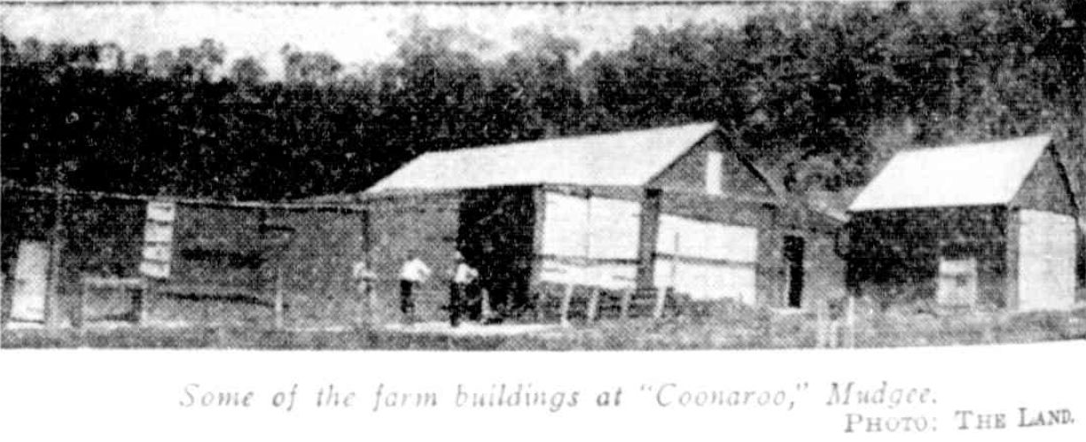 Coonaroo Outbuildings 1937