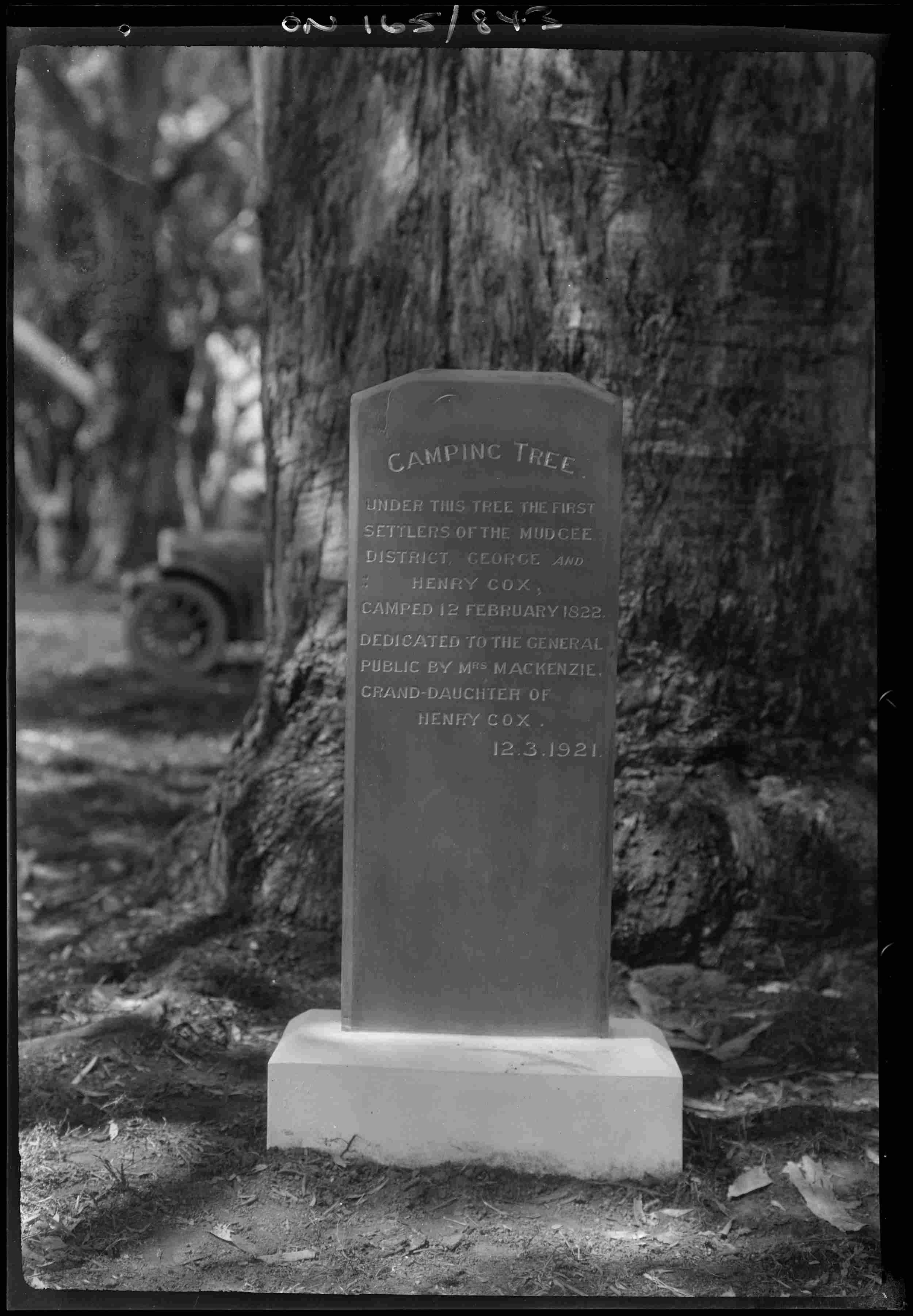 Mudgee Camping Tree dedication tablet