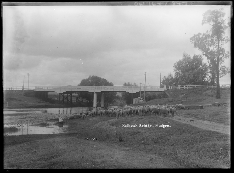 Mudgee Holyoak Bridge