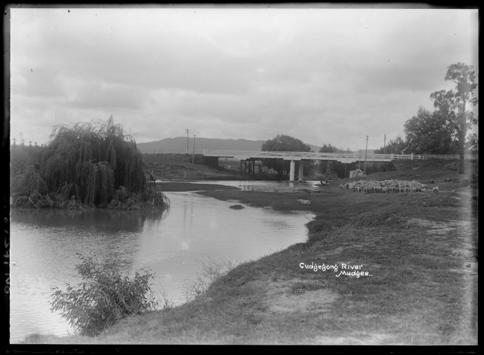 Mudgee Holyoak Bridge