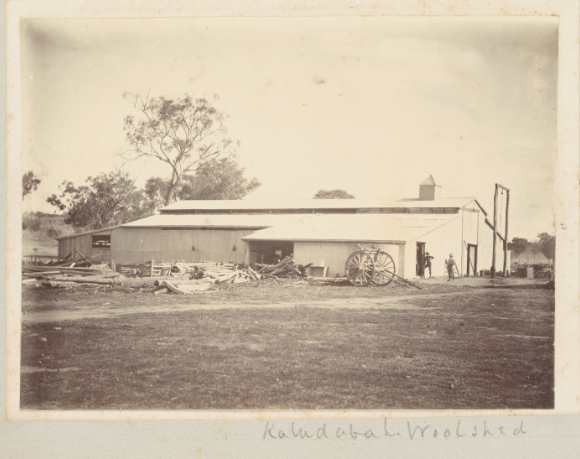 Kaludabah woolshed 1913