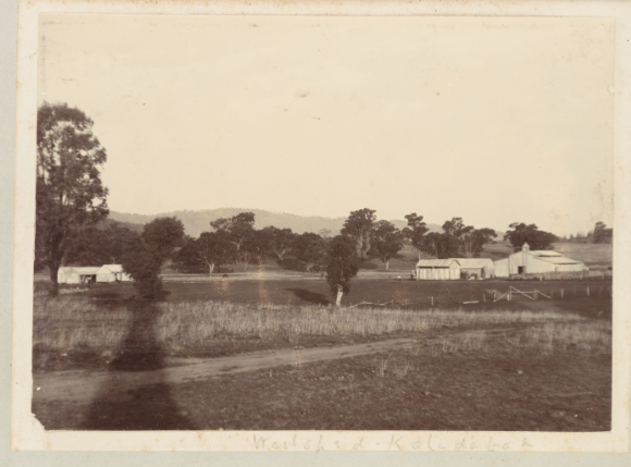 Kaludabah woolshed 1913