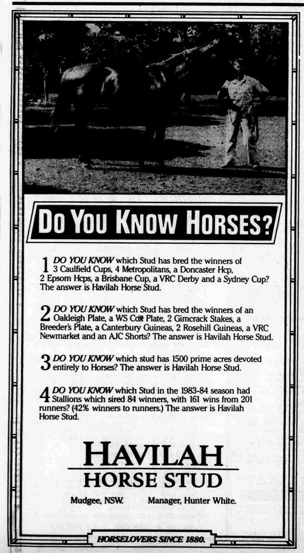 Advert for Havilah Horse Stud 1985