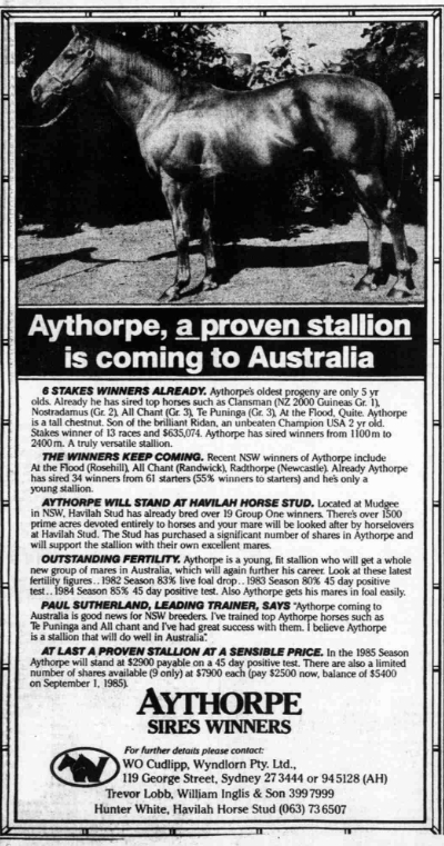 Advert Aythorpe Havilah Horse Stud 1985