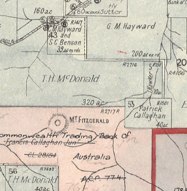 Mount Fitzgerald, Parish Mead, County Roxburgh