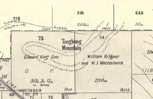 Tongbong Mountain, Parish Tongbong, County Phillip