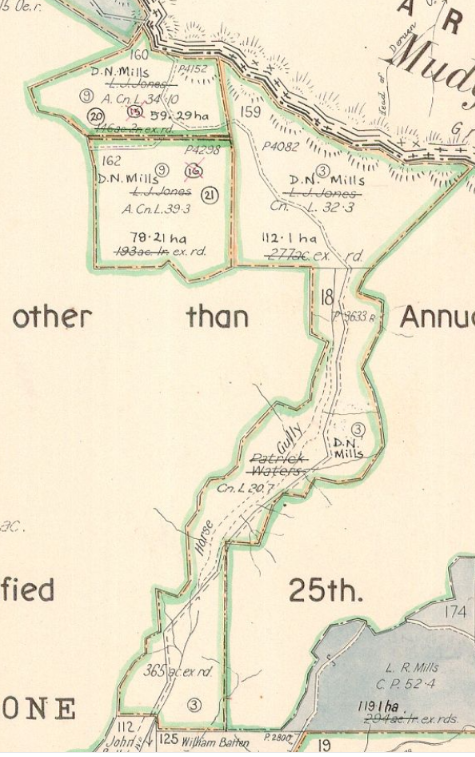 Horse Gully; Parish Hawkins, County Phillip